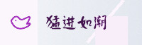 合作伙伴